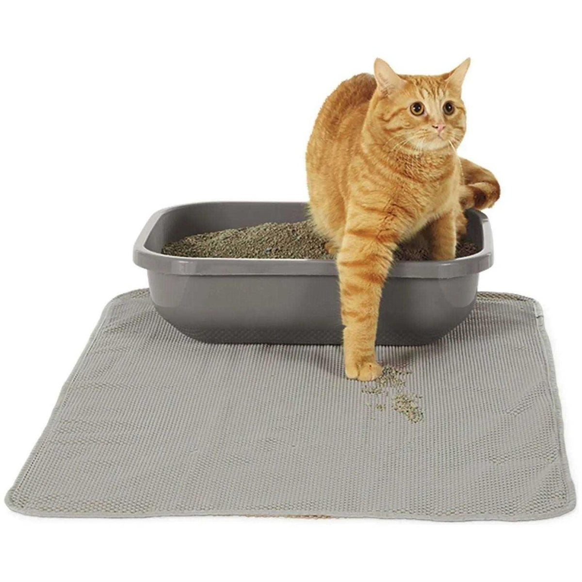 Litter Mat V89646