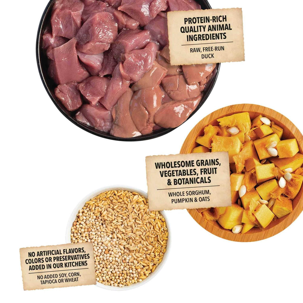 Duck & Pumpkin Dry Dog Food L83881