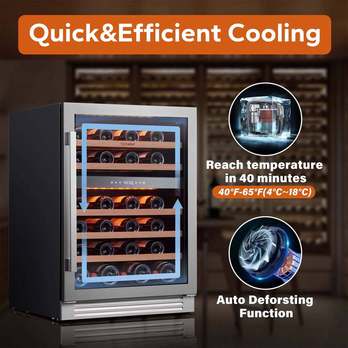 24 inch 46 Bottle Stainless Steel Wine Cooler Refrigerator H50663