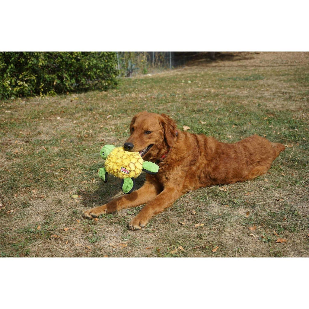Ballistic Turtle Dog Toy H45199