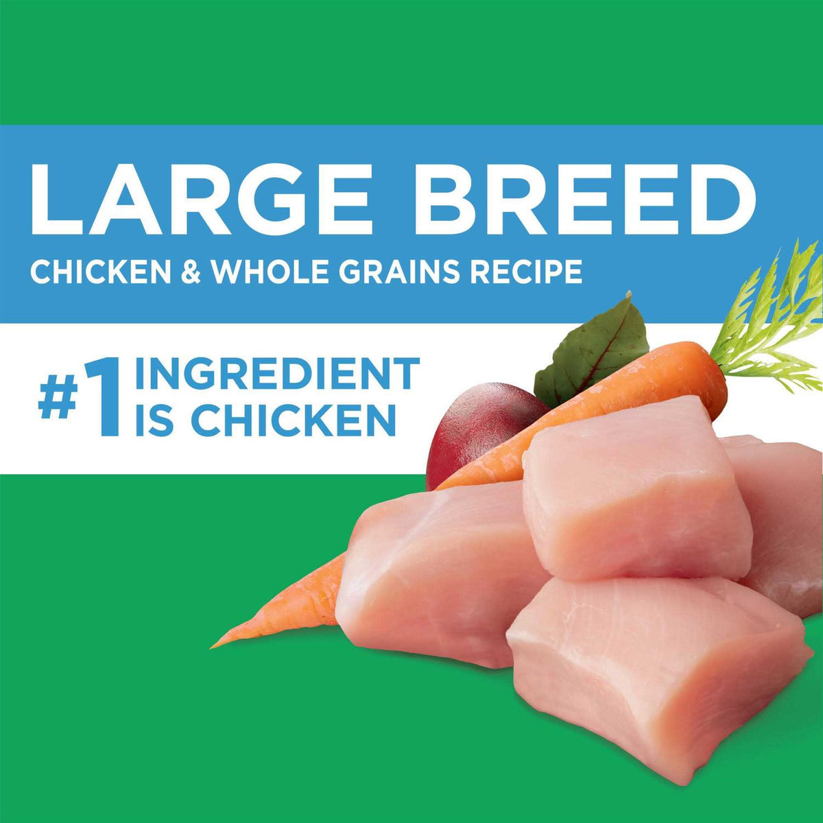 Chicken Dry Dog Food Y8172