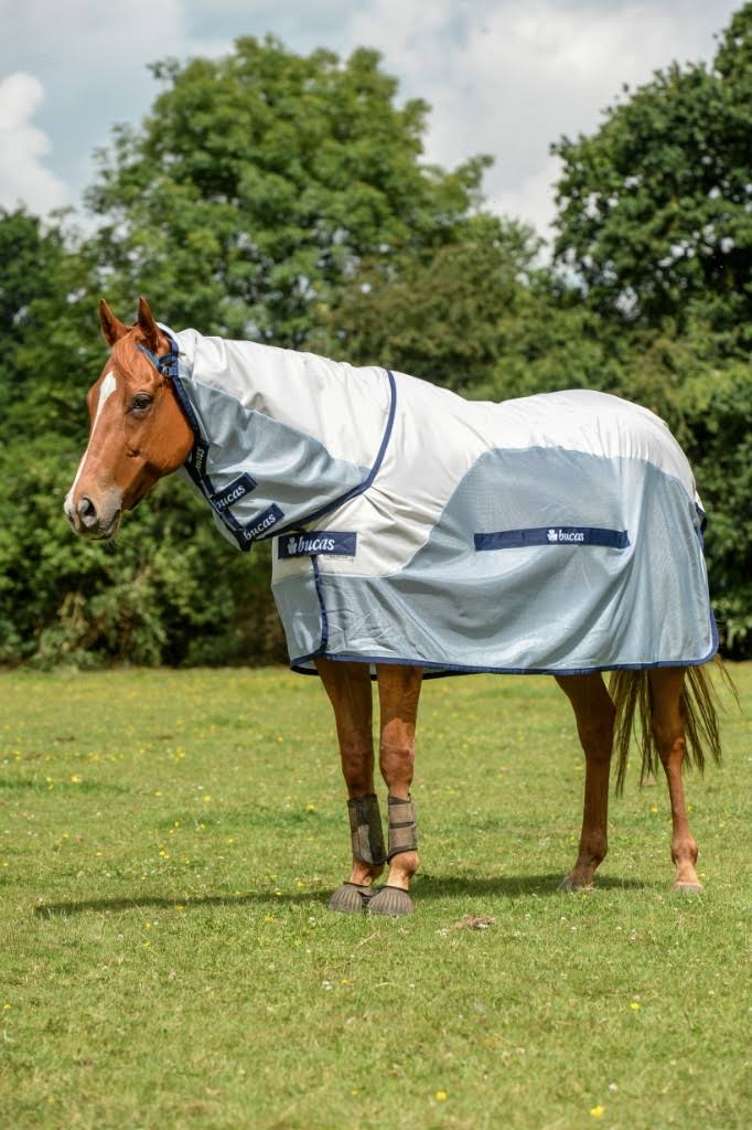 Silver / Blue Rain Full Neck W74840