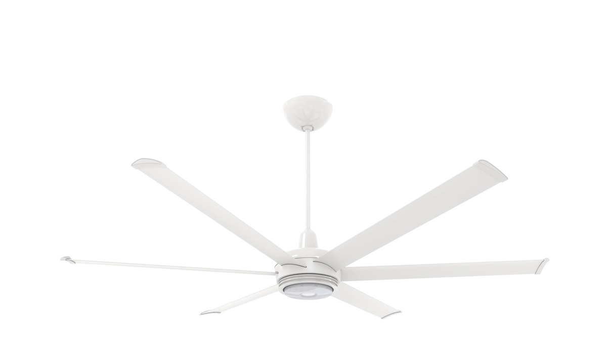 White 72 Ceiling Fan with Downlight LED T7319