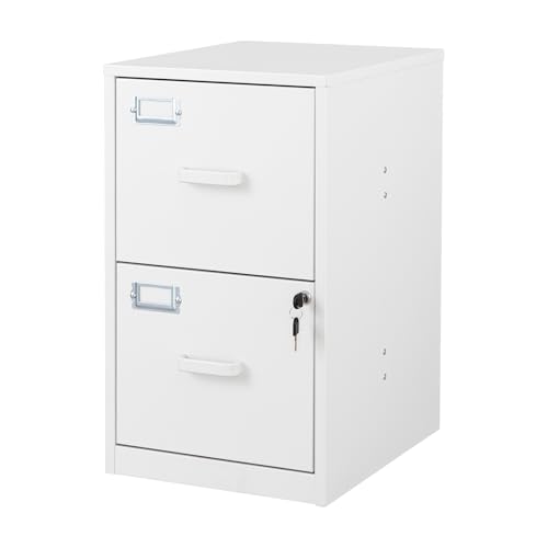 2 Drawer Steel Vertical File Cabinet with Lock S313484