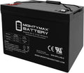 12V 100AH SLA Battery D2760