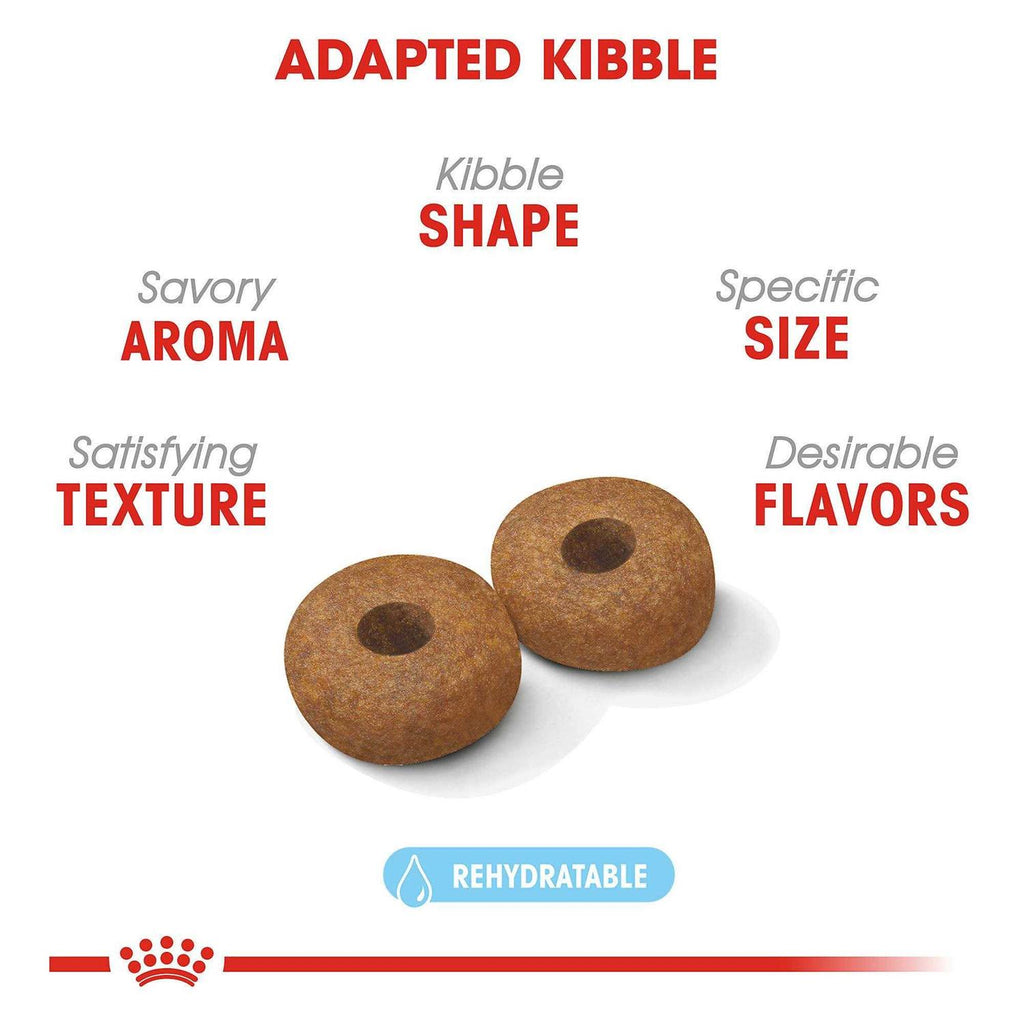 Medium Aging 10+ Dry Dog Food Y9966