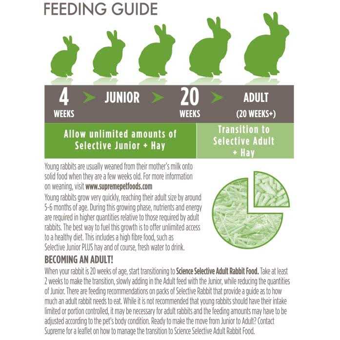 Junior Rabbit Food C1990