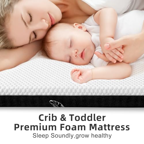 52 x 27 Dual-Sided Baby and Toddler Mattress with Memory Foam L338119