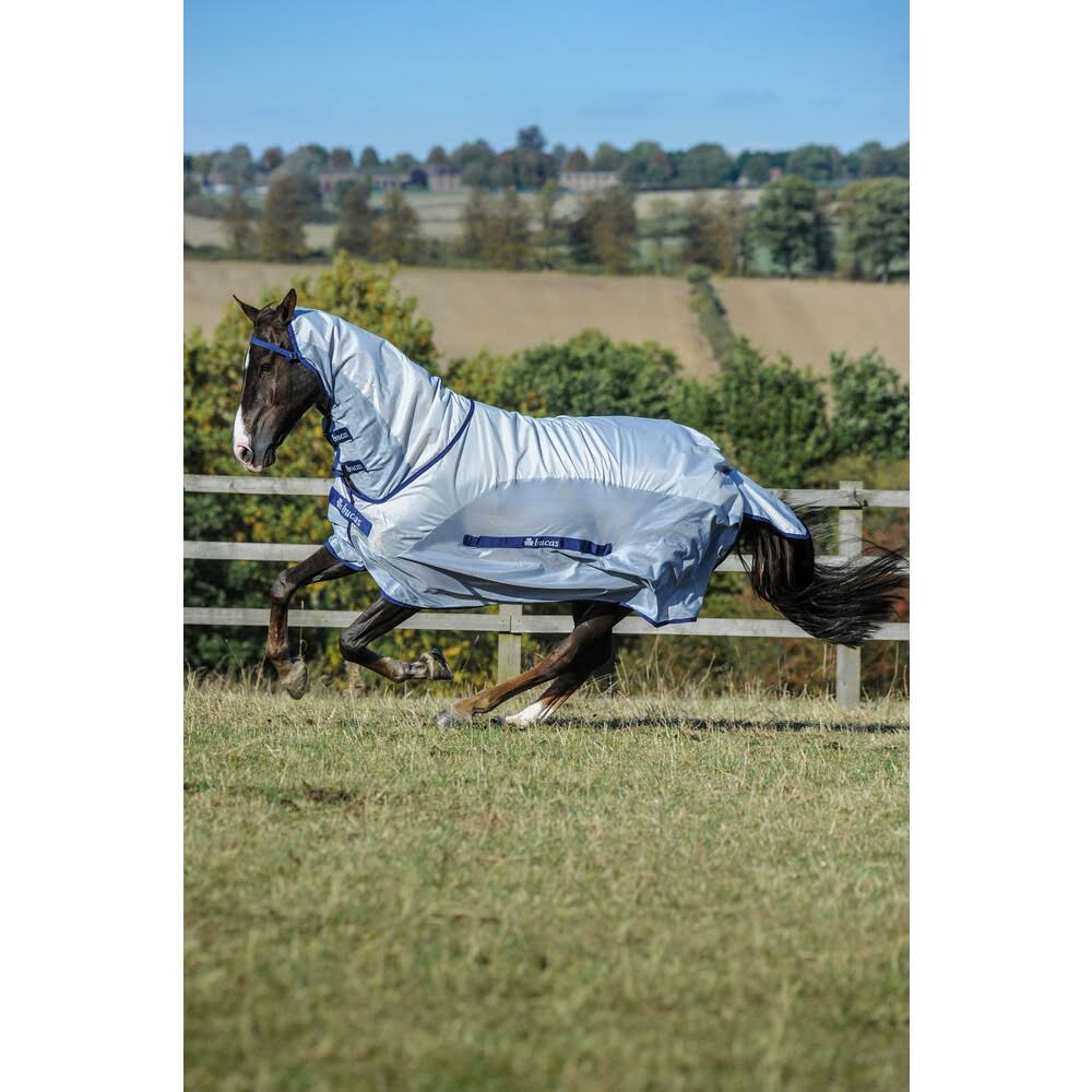 Silver / Blue Rain Full Neck W74840