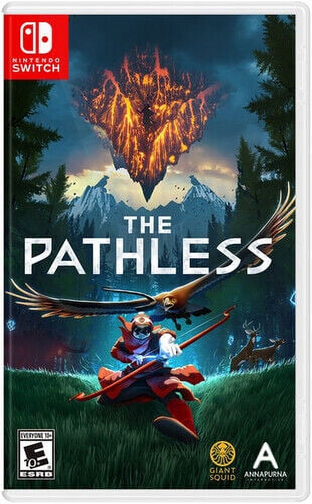 Nintendo Switch Game F487