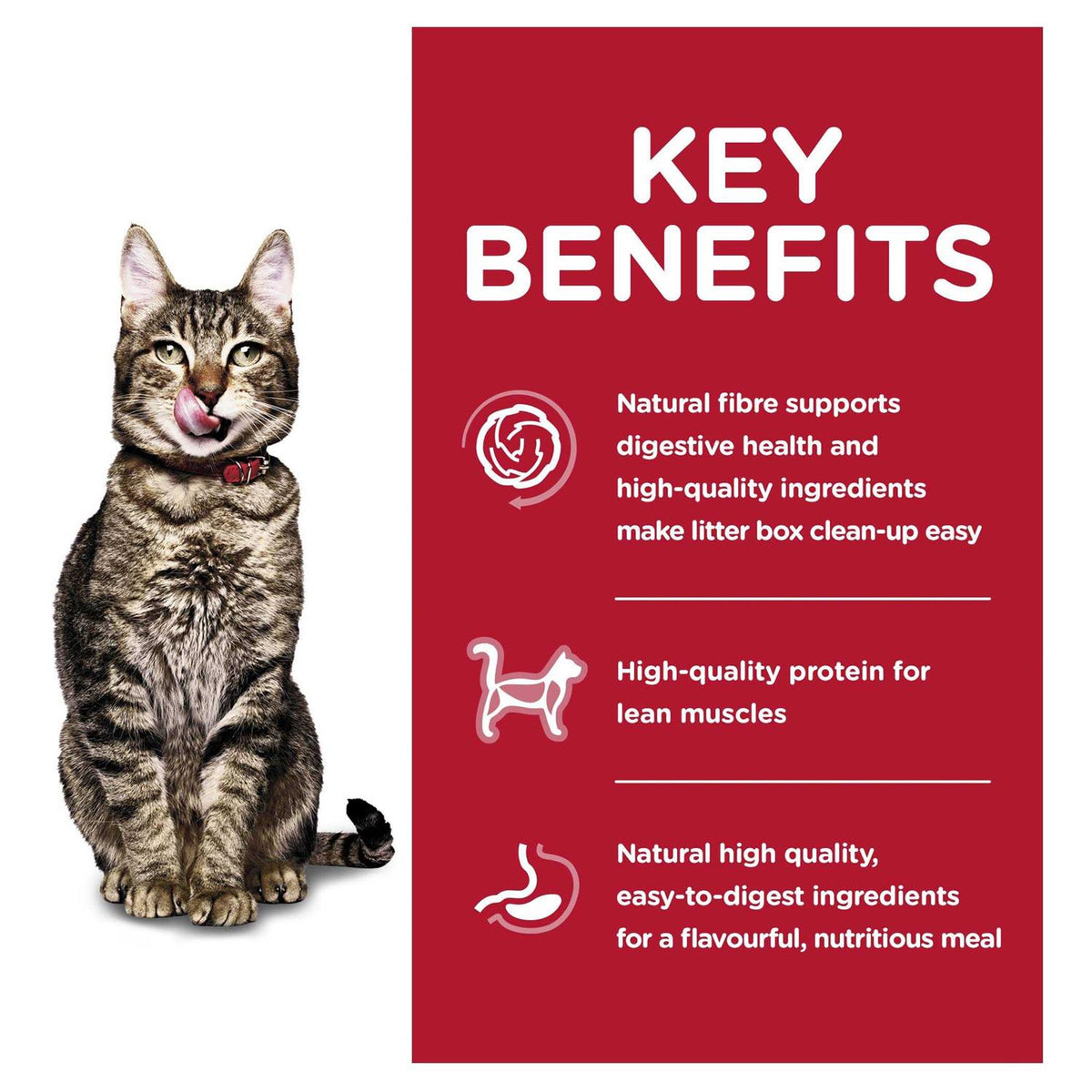 Adult 7+ Indoor Dry Cat Food T5424