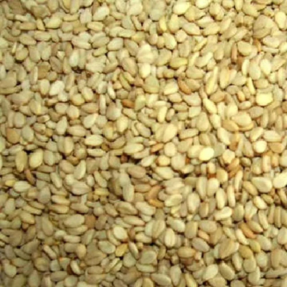Organic Sunflower Seeds 25LB I806876