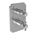 Oil Rubbed Bronze Thermostatic Trim Plate with Handle G239