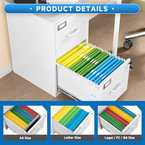 2 Drawer Steel Vertical File Cabinet with Lock S313484