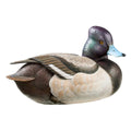 Large Lifelike Bluebill Decoy W6945