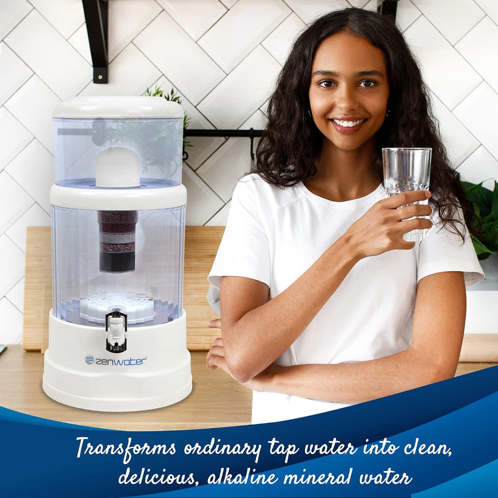 Portable 4-Gallon Countertop Water Filter System Y526311