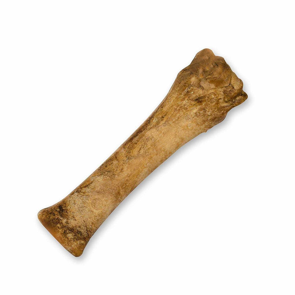 Healthy Edibles Dog Bone L457