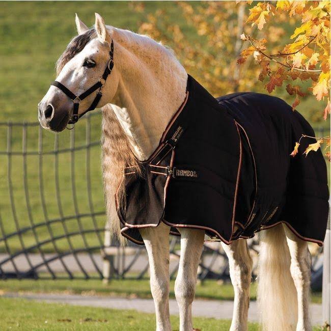 Stable Sheet J45424
