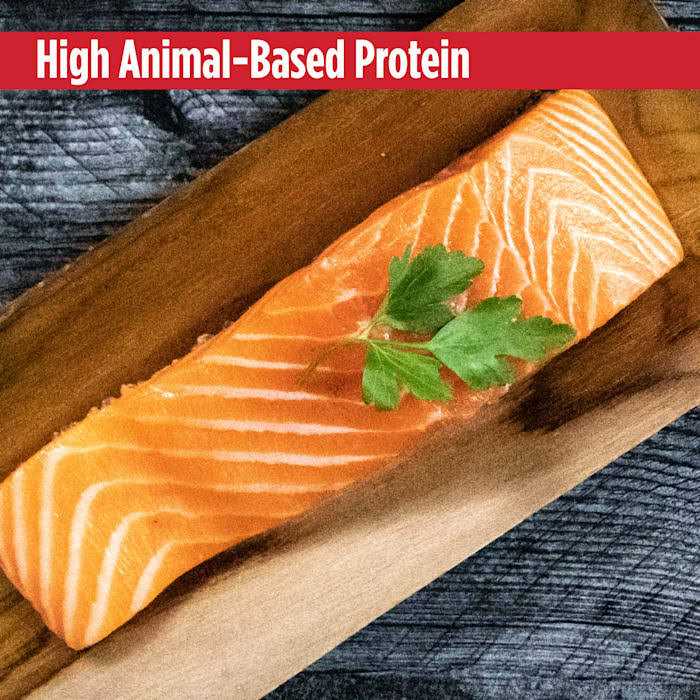 Grain Free Salmon Dog Food D633