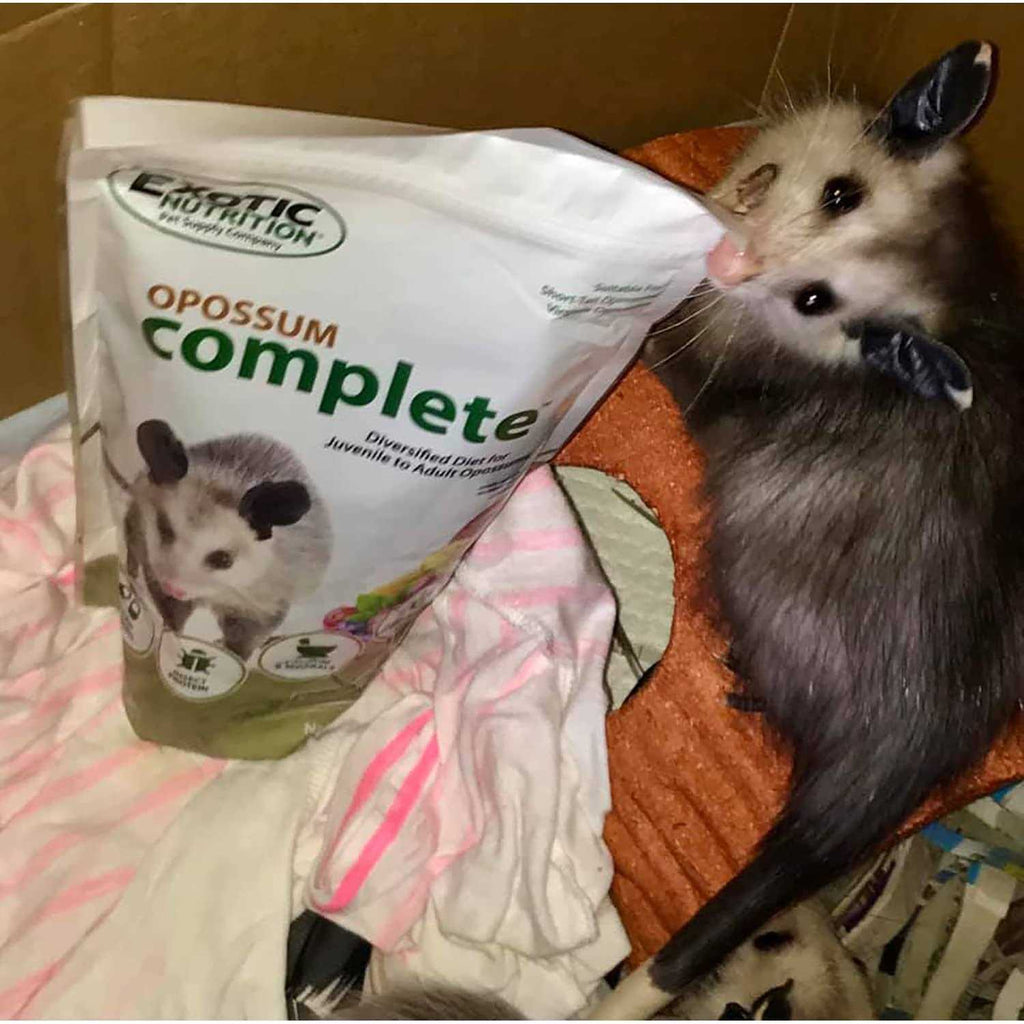 Opossum Complete Food Q852