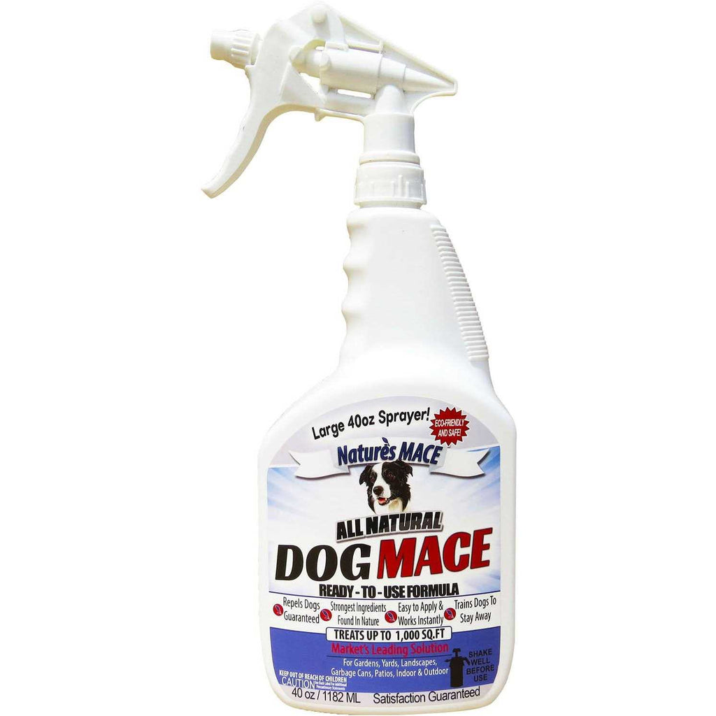 Dog Repellent and Training Tool H467466