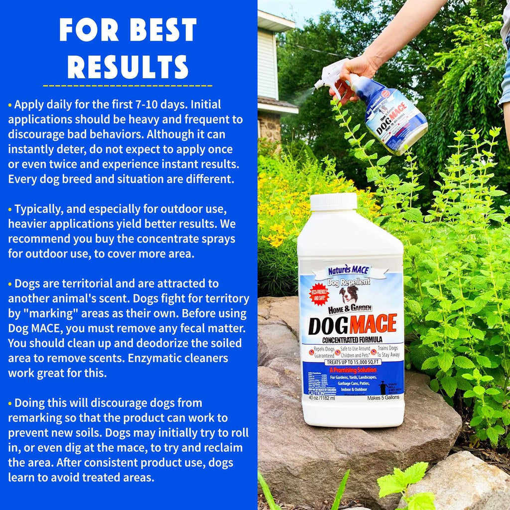 Dog Repellent and Training Tool H467466