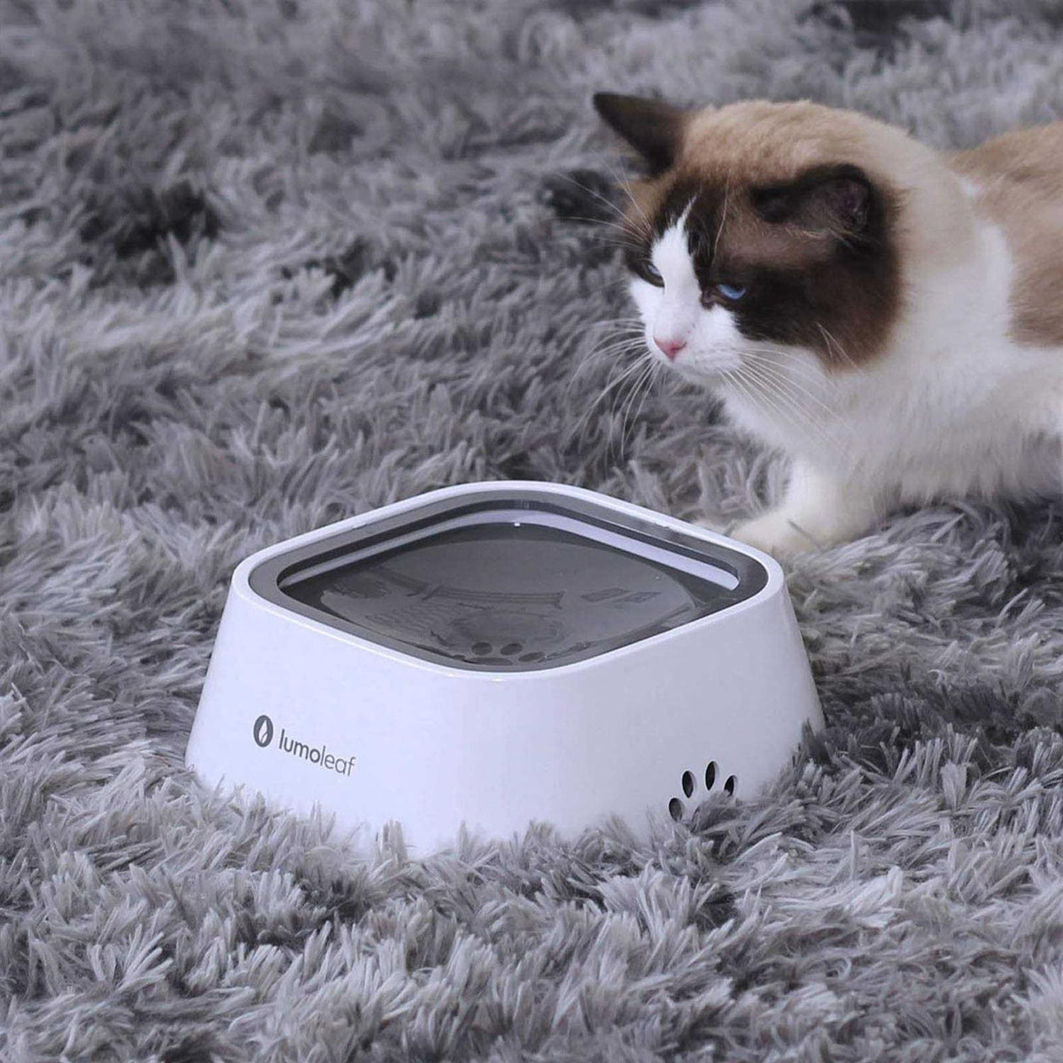 Dog Water Bowl Slow Feeder Bowl No Spill H779399