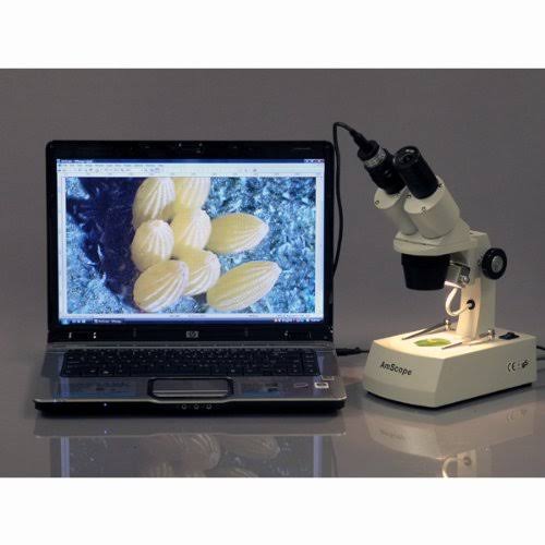 20X-40X Stereo Microscope with USB Camera E155