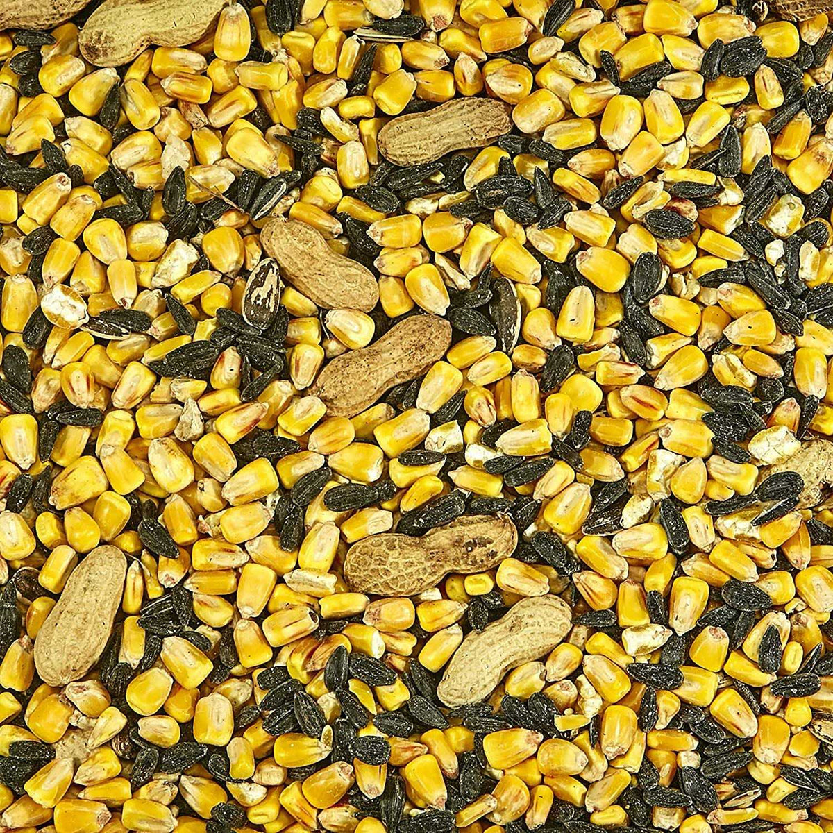 Squirrel Food A6159