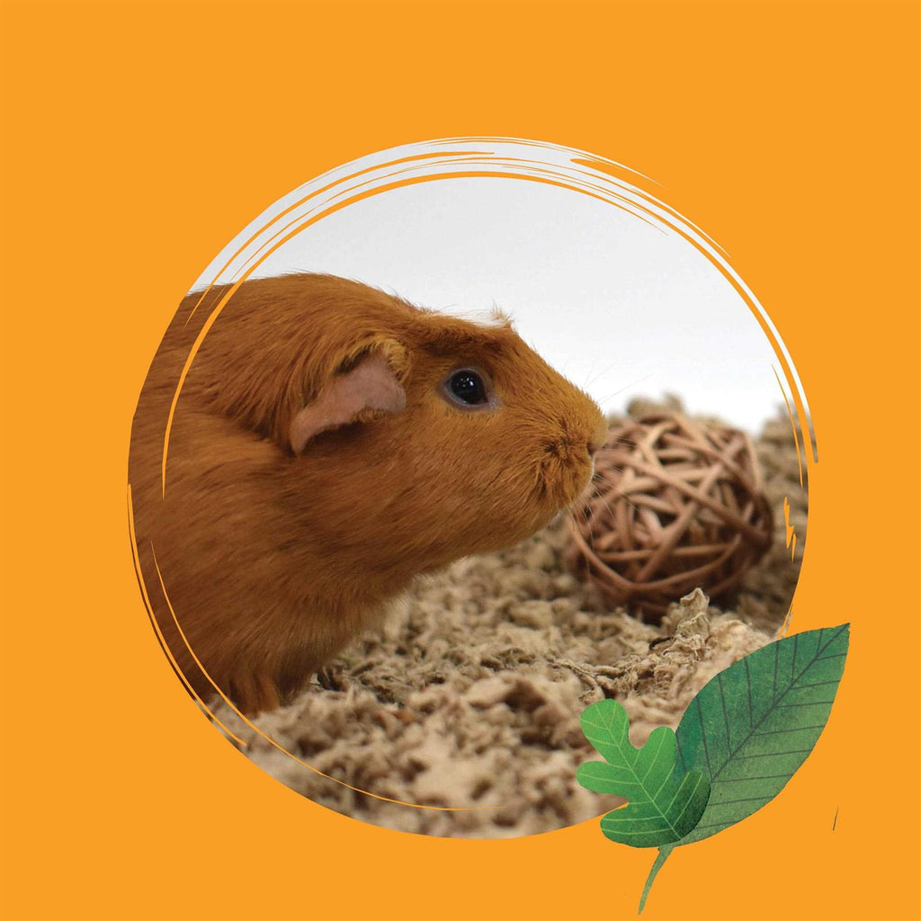 Natural Paper Pet Bedding G414
