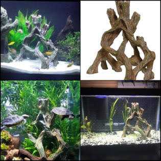 Mangrove Root Pet Supplies A384