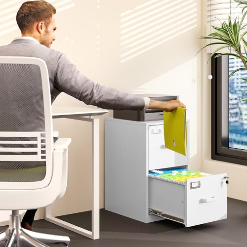 2 Drawer Steel Vertical File Cabinet with Lock S313484