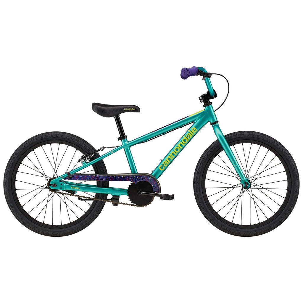 20 inch Turquoise Kids Bike B161200