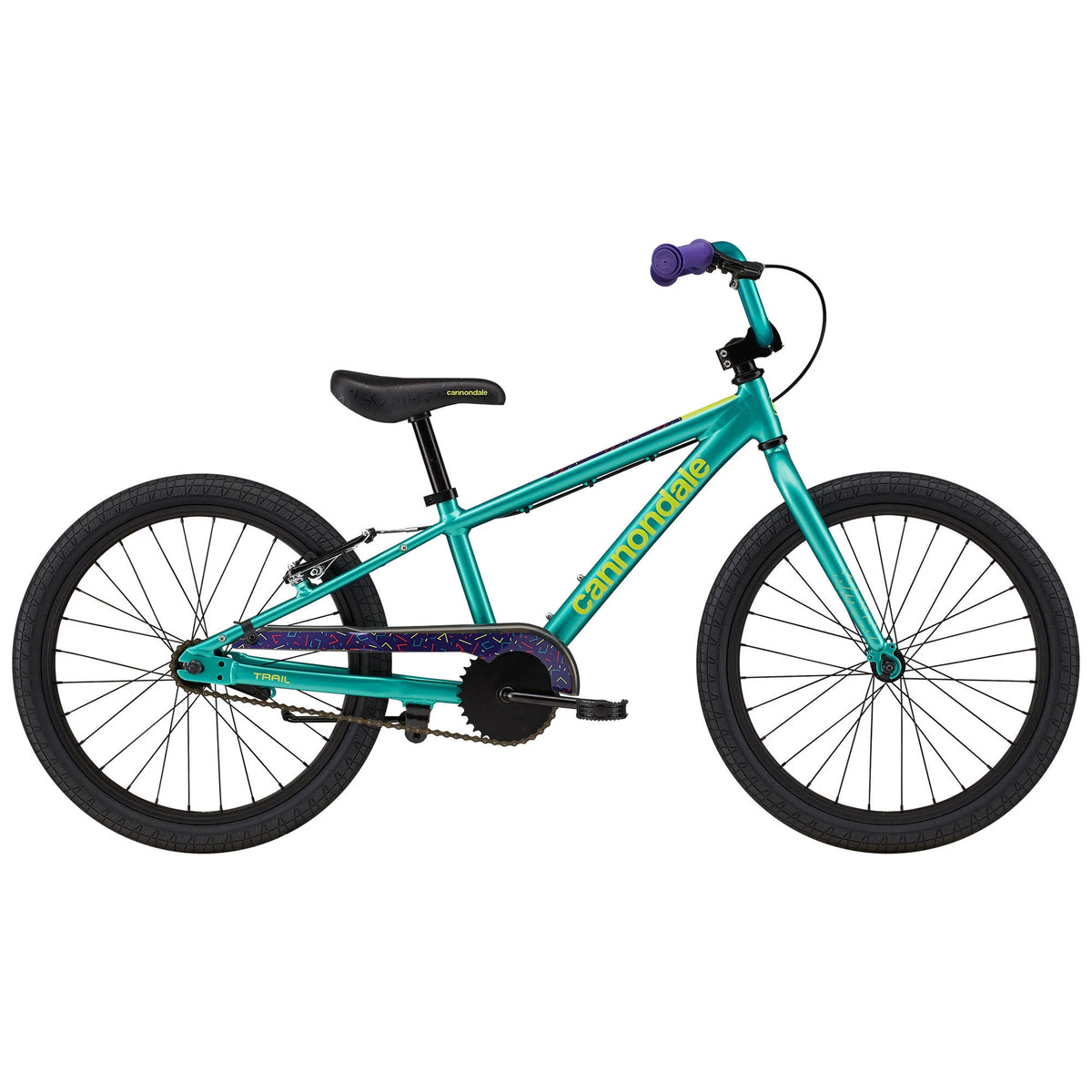 20 inch Turquoise Kids Bike B161200