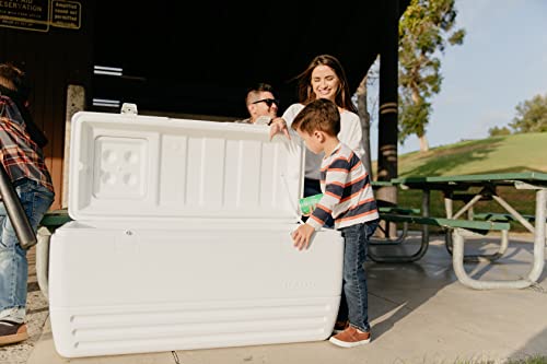 White 150-Quart Cooler Q78228