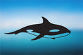 Orca Vinyl Decal W3186