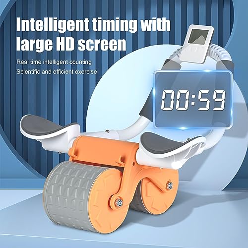 Ab Roller Wheel with Knee Mat and Timer V7876
