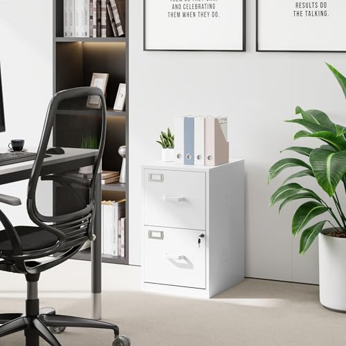2 Drawer Steel Vertical File Cabinet with Lock S313484
