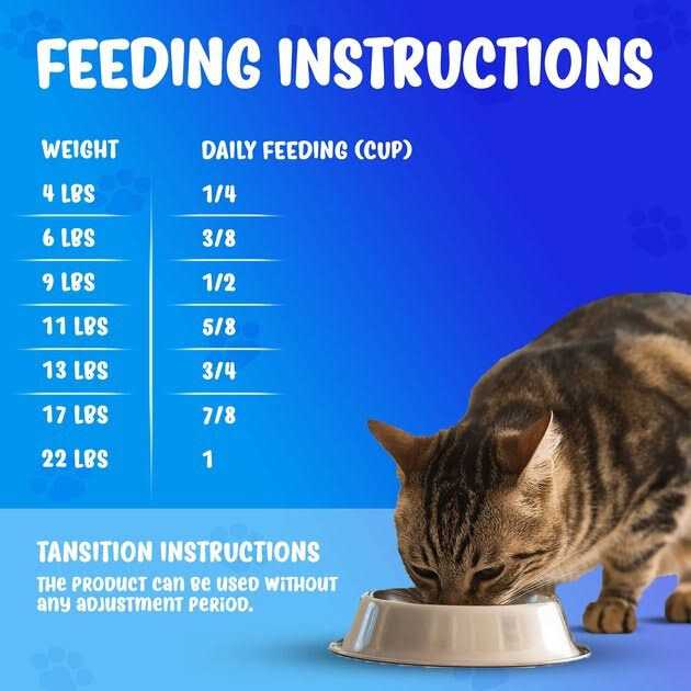 Kidney Support Diet Dry Cat Food Q911