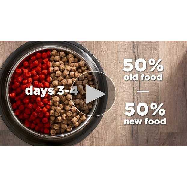 Chicken Cat Food Y22434