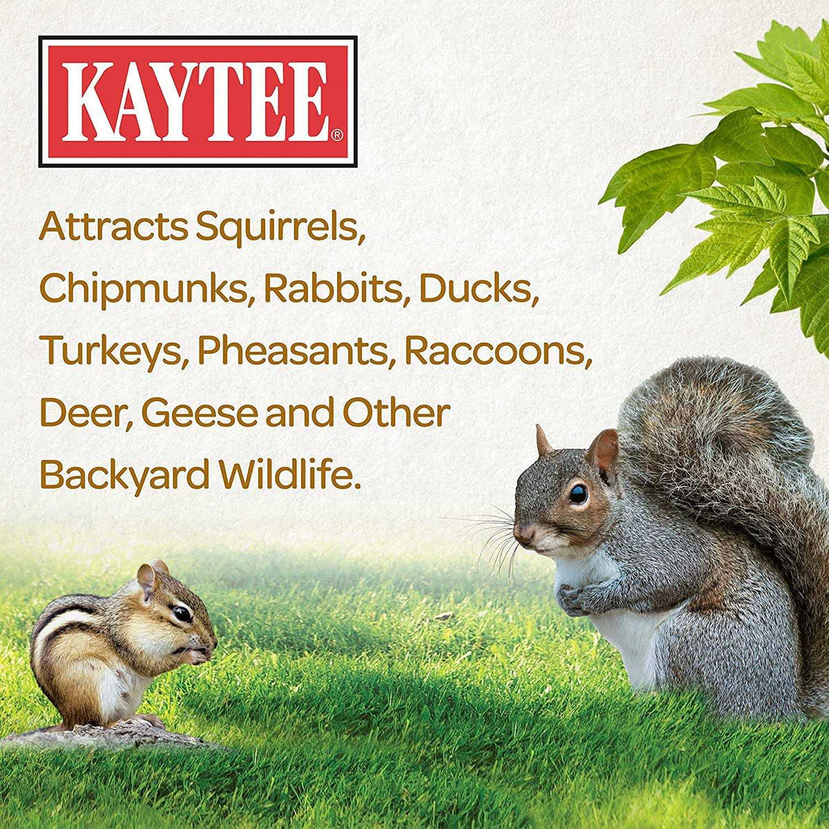 Squirrel Food A6159