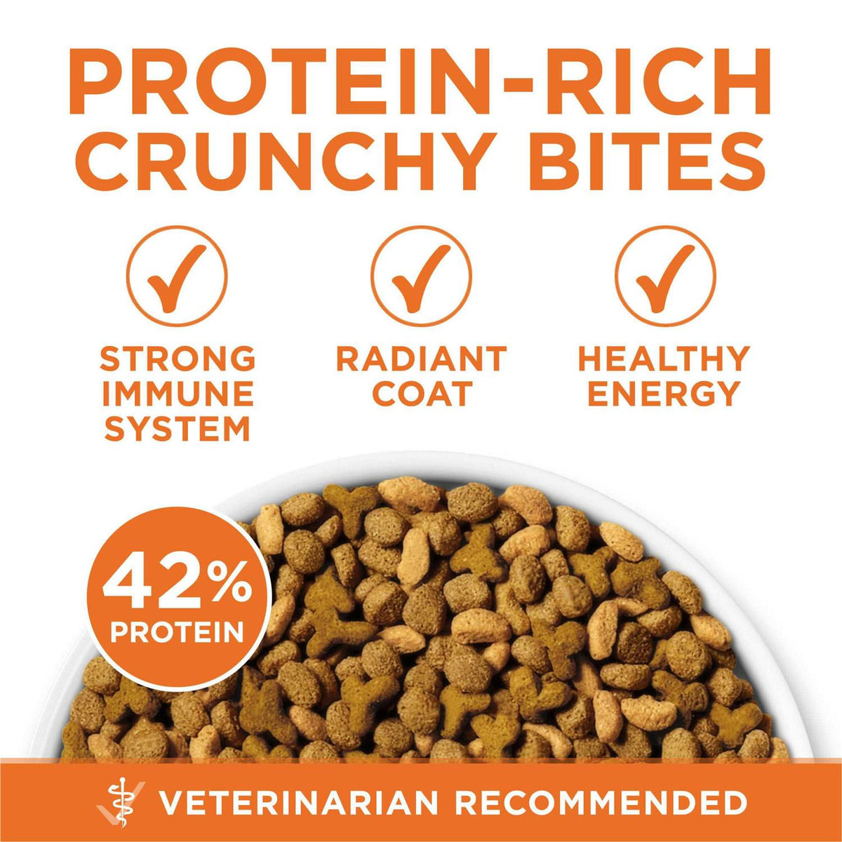 Dry Cat Food Y11581