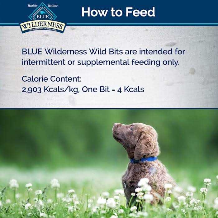 Dog Treats U349740