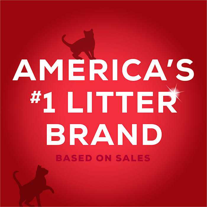 Unscented Non Clumping Cat Litter with Activated Charcoal T506