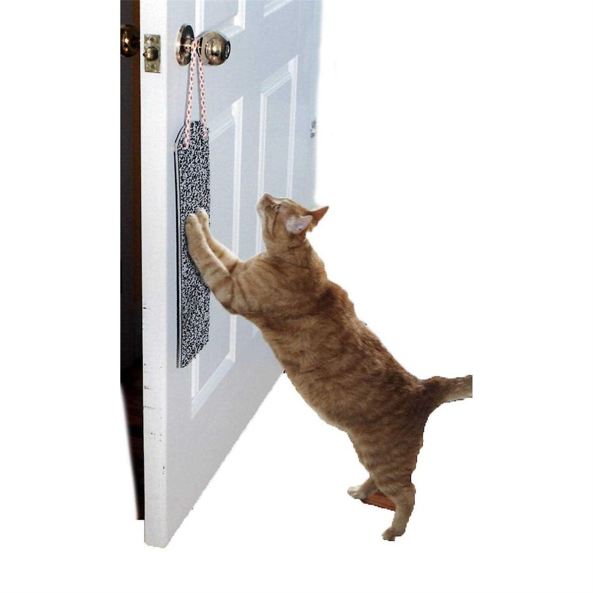 Door Hanging Scratch Pad F22250