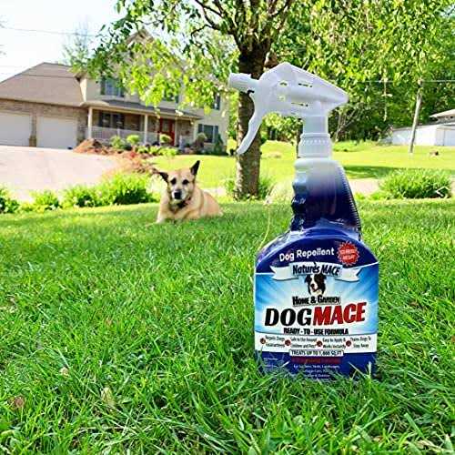 Dog Repellent and Training Tool H467466