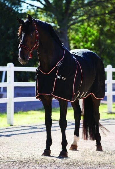 Stable Sheet J45424