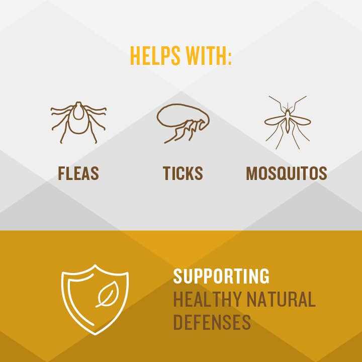 Soft Chews Flea & Tick Support for Dogs I75420