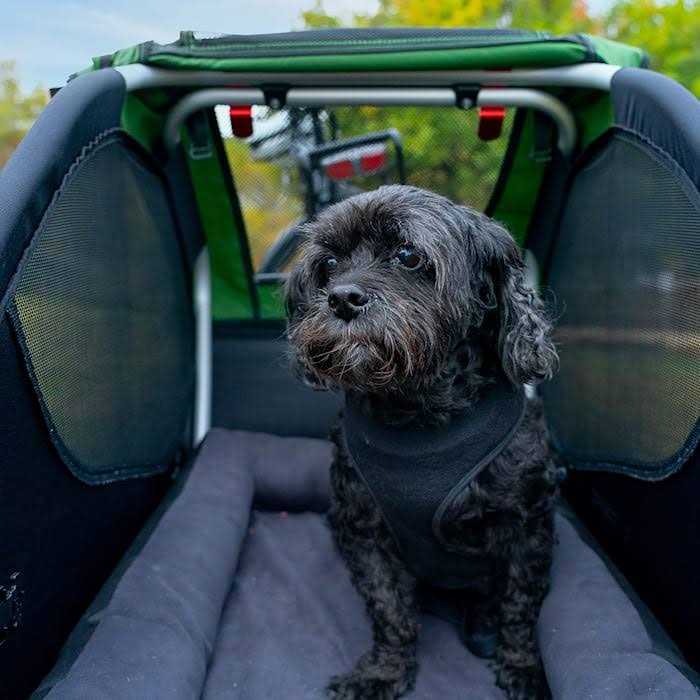 Pet Bed W44290