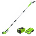 40V Cordless Battery Powered Pole Saw with 2.0 Ah Battery & Charger J7299